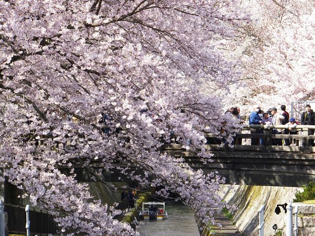 琵琶湖疏水】アクセス・営業時間・料金情報 - じゃらんnet