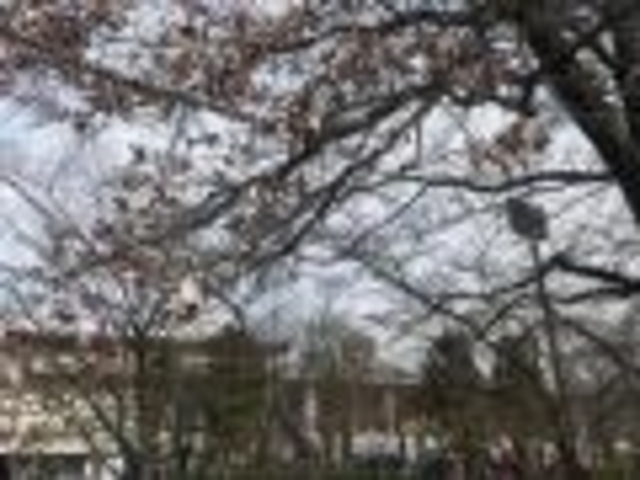 ゆっくり_小瀬スポーツ公園