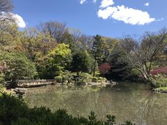 OoomarinaooO̗L{LOւ̓eʐ^1