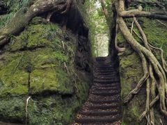 ̂L̐Â̐ؒʂւ̓eʐ^1