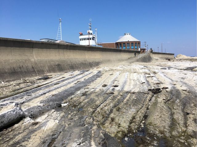 �q����������V�т����Ă��܂���_���̉w �����璪������