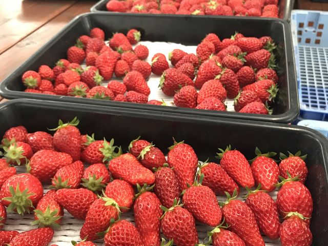 ��΂̂悤�Ȃ�����_���������ԉ�