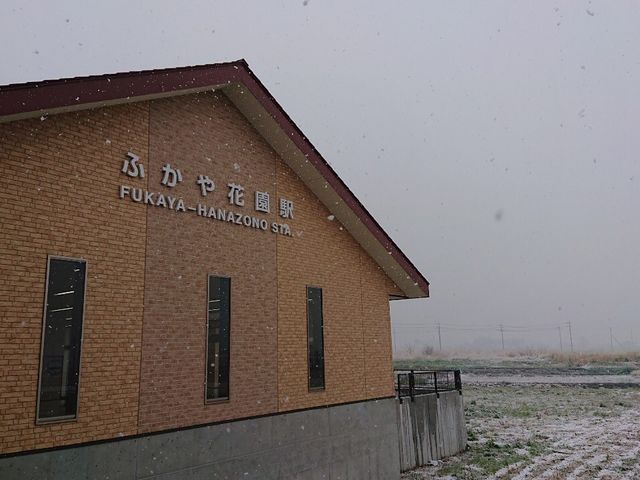 秩父鉄道沿線は雪でした…_いちご畑花園