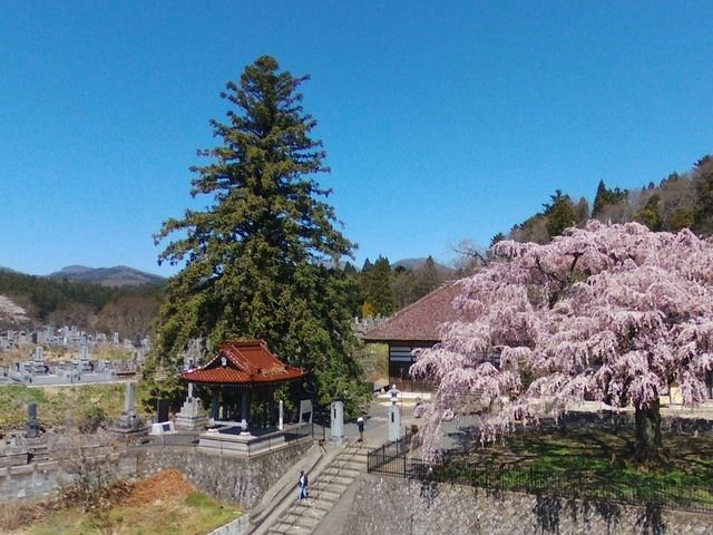 stonemeister̉i򎛂̃REEU̓eʐ^1