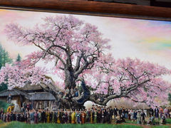 油絵　額装「山高神代桜」P10号　原画 山高神代桜の2019年04月の口コミ - 山高神代桜のクチコミ - じゃらんnet