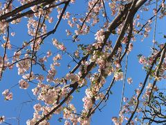 ��������̔��F���ւ̓��e�ʐ^1