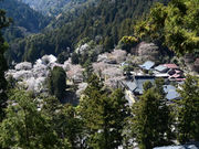 ̂肿񂳂̐gRṽV_UN̓eʐ^1