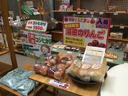 hƂ䂤q̏aVR ԓXJCe][g̓eʐ^1