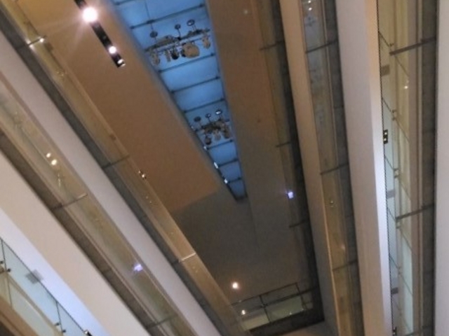 �ʂ肪������̑���_�\�Q���q���Y