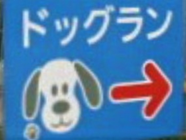 �����̃h�b�O�������ݒu����Ă���_NEOPASA�l���i���j