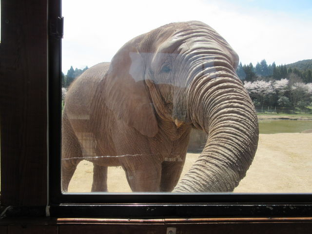 �H�g�䎩�R���������T�t�@�������h