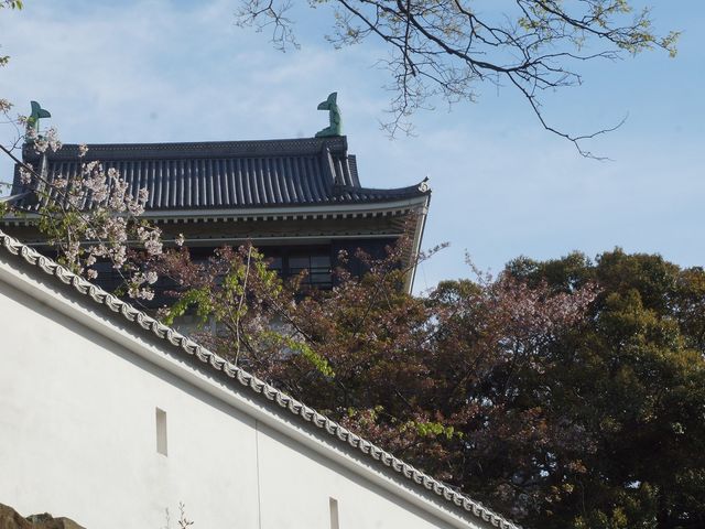 ���q008_���q��