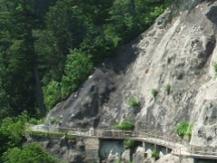 kazu̗RAy[gyxRzւ̓eʐ^1