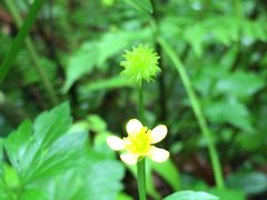 炽܂̊όlbg[Nւ̓eʐ^2