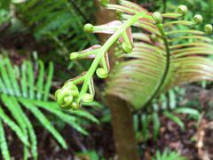 炽܂̊όlbg[Nւ̓eʐ^3