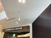 apple����̃X�^�[�o�b�N�X�E�R�[�q�[ ���ہ[�ƖL�F�X�̓��e�ʐ^1