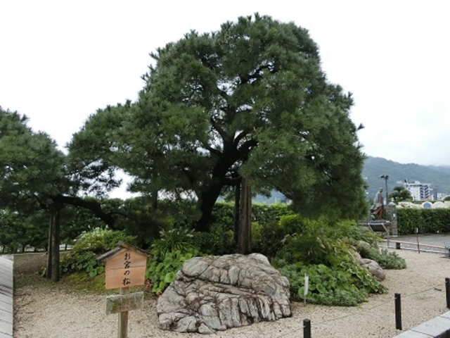 ���{�̏�_���{�̏�