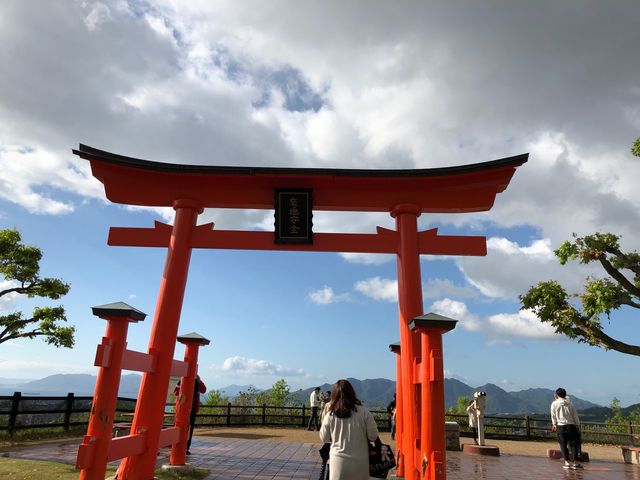 �{���̓����Ƃ��čō��ł�_�{���T�[�r�X�G���A�i������j