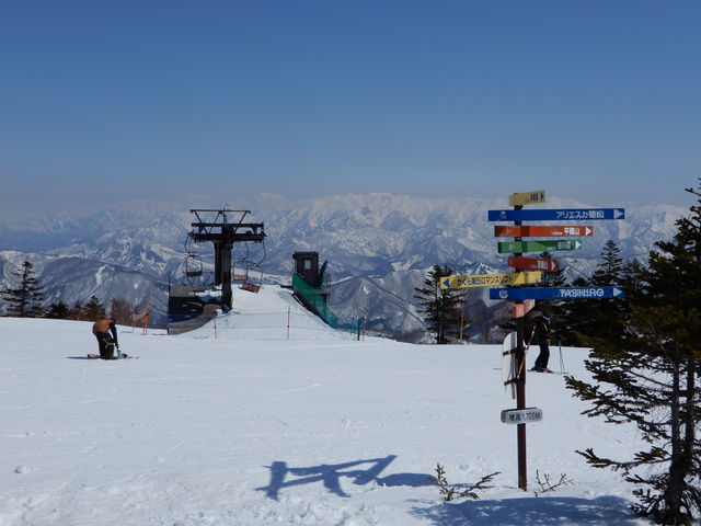 �i�F�������ł�_������X�L�[��