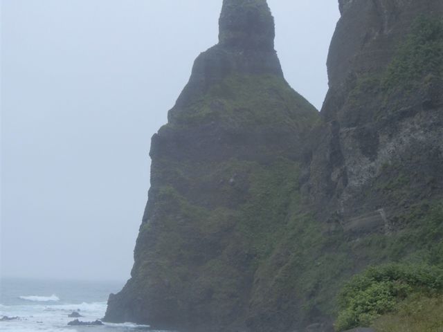 �傫�Ȋ�ł�_�Z�^�J���C��