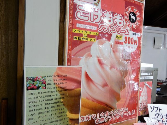 qf̒m܌΃XgnEX̓eʐ^2