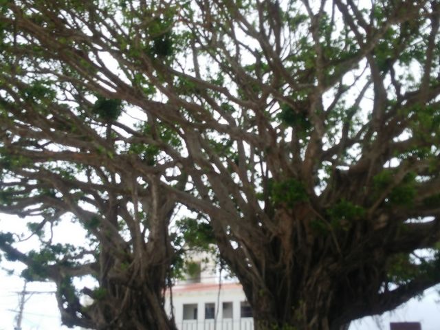 ԏɑ傫Ȗ؂܂I_̉w ₦