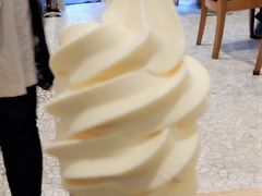 qf̏M@mَq܁@^Iւ̓eʐ^1