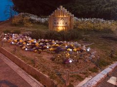 ��x�r�����̎ʐ^5