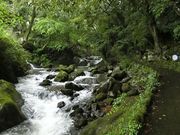 ɂǂ񂳂̈ɓ͌̓eʐ^1