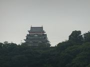 ɂǂ񂳂̔MC̍̓eʐ^1