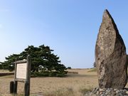 Yanwenli����̗L�����Y�̉̔�̓��e�ʐ^2