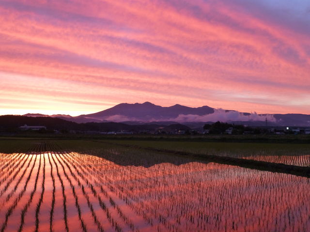 ����̃J�����}�����V���b�^�[�����������@�����́u���R���������v��Ⓦ�ɕ������ꏊ_�₢�����R��������