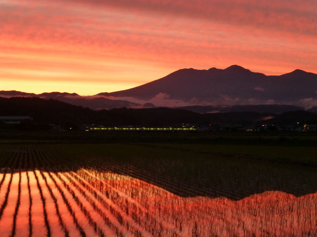 �҂��Ă���ΕK��JR�̗�Ԃ���
�l�G���̎��Ԃɍ��킹�Ăǂ���(^^��_�₢�����R��������