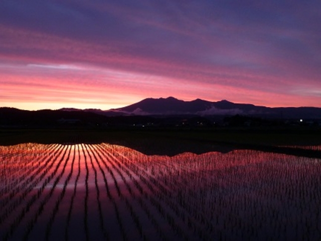 ����ȕ\��ɂȂ�܂���_�₢�����R��������