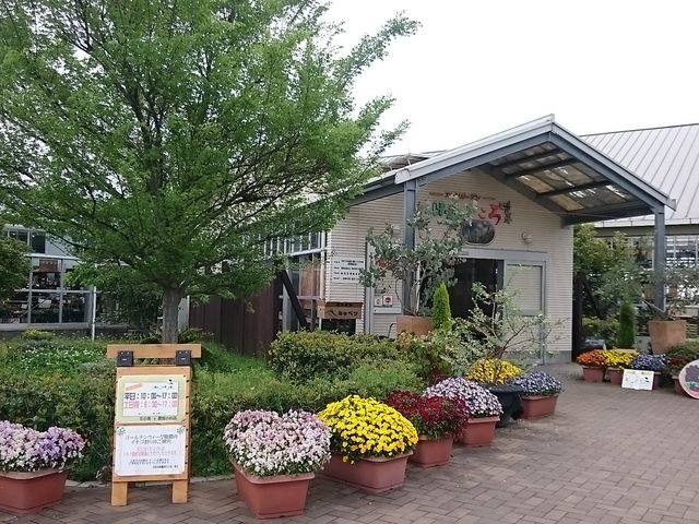 񂿂񂳂̂肠H̓eʐ^1