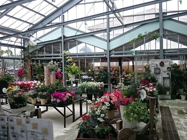 �Ԃ̕c��̔����Ă��܂�_�G�ߑ̌��_��@�Ԃ̊C