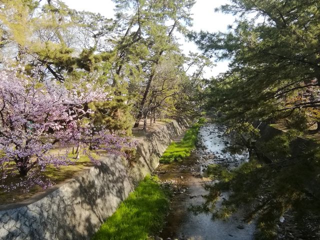 �g��̐�ʂɂ������ʂ�܂�_�g��͐�~�Βn�i�g������j