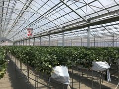 񂳂̃x[YVbvւ̓eʐ^1