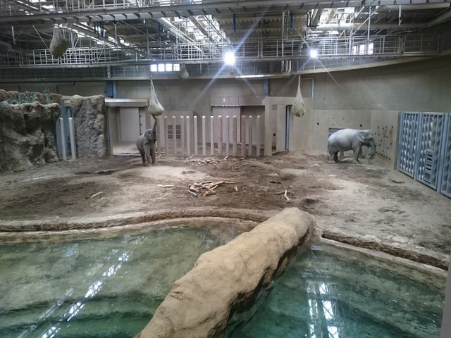 �V�[�g������ꏊ����_�~�R������