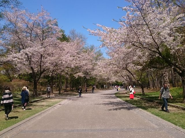 ���̗����ɍ�_��������