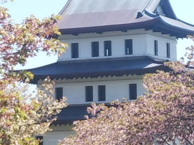 ���Ƃ��錩��_���O��