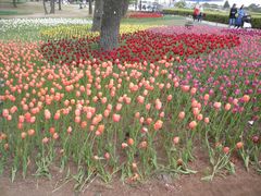 hohoho̍cЂClւ̓eʐ^3