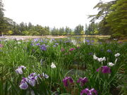 ̂肳̖щz̉ԏҊ̓eʐ^2