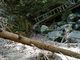 Subaruさんの不動の滝（静岡県川根本町）の投稿写真2