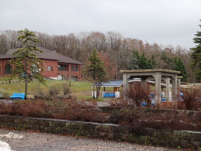 �L��_�k�C���q�ǂ��̍�