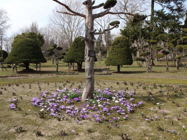 �΂�����_�k������