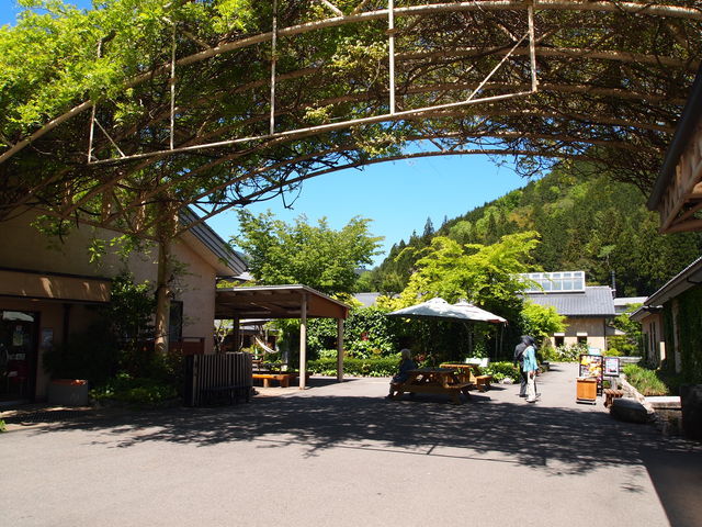 O_̉wÍ`̗܂ƁE났L