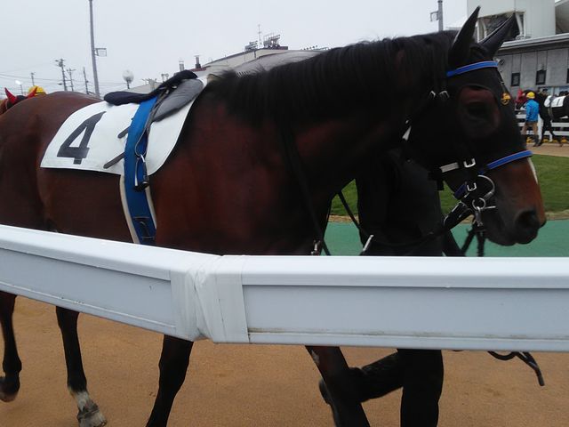 phbNQBn{ɂڂ̑OłB_ʋn