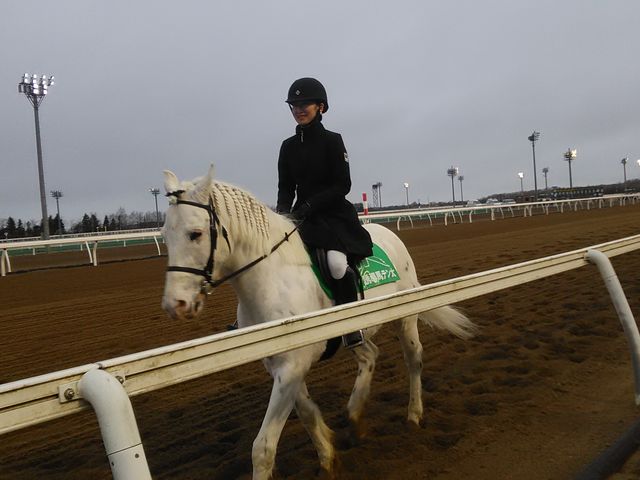 �U���n�ƐE������_��ʋ��n��