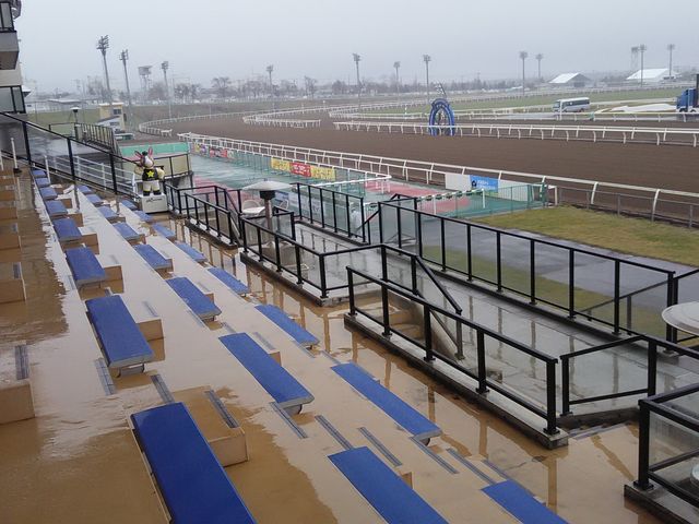 �X�^���h_��ʋ��n��